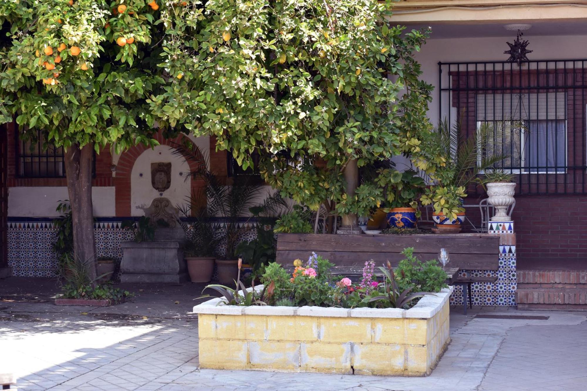 Carmen De La Lana Διαμέρισμα Γρανάδα Εξωτερικό φωτογραφία